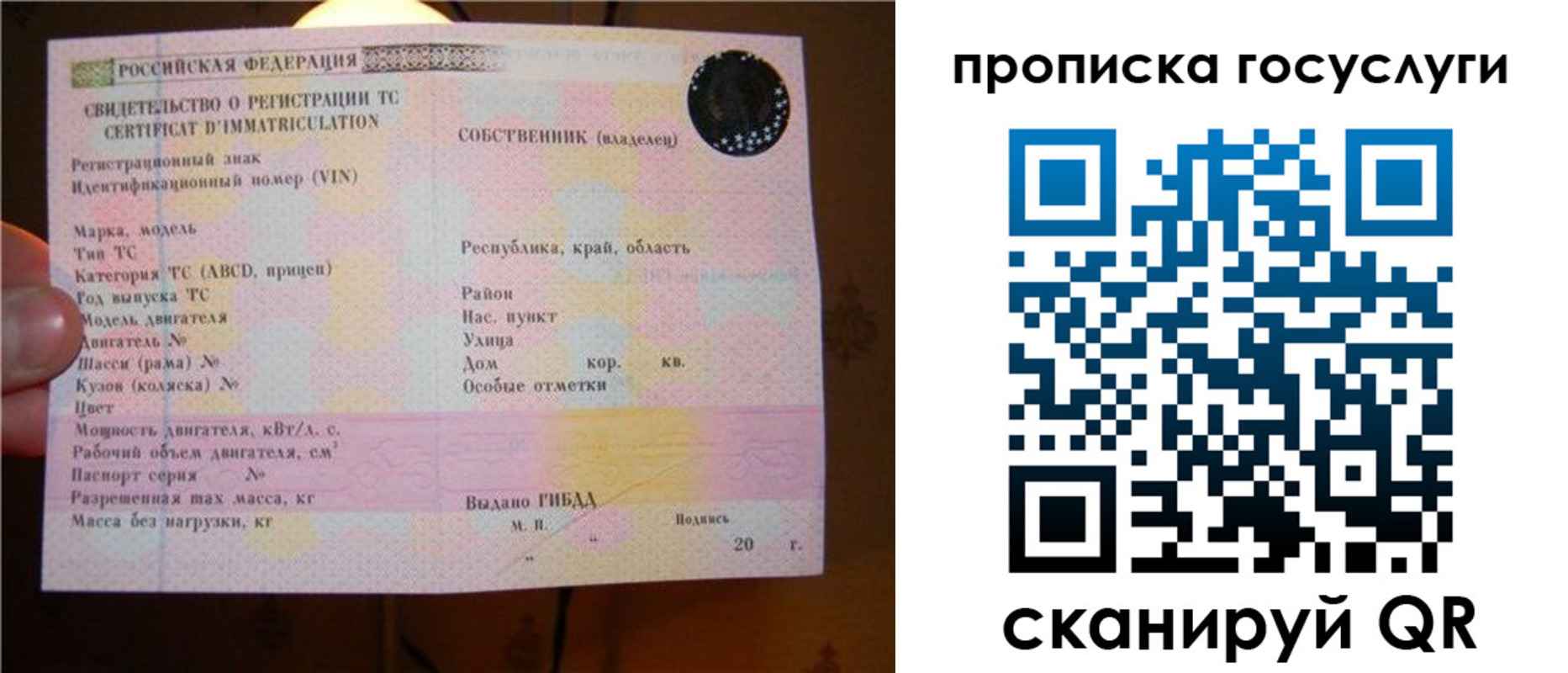 регистрация для дет. сада в Светлограде